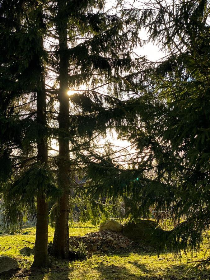 Ragnar Glamp Milzkalne Lux Brīvdienu mājas Rauda
